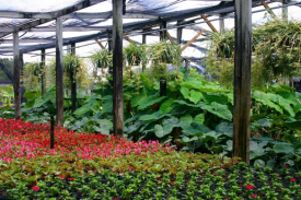 浙江省现代生态农业示范园建设项目可行性钻研汇报