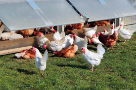 现代化规；臣巴涝准庸は钅靠尚行宰暄谢惚