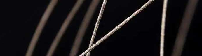 JDB电子·(中国区)试玩平台-JDB电子游戏官网