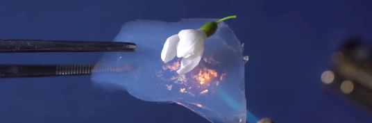 JDB电子·(中国区)试玩平台-JDB电子游戏官网