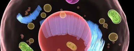 JDB电子·(中国区)试玩平台-JDB电子游戏官网