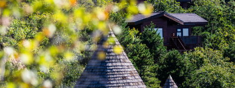 JDB电子·(中国区)试玩平台-JDB电子游戏官网