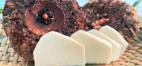 JDB电子·(中国区)试玩平台-JDB电子游戏官网