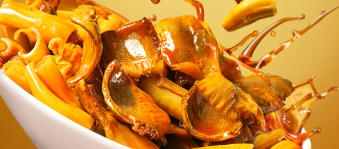 JDB电子·(中国区)试玩平台-JDB电子游戏官网