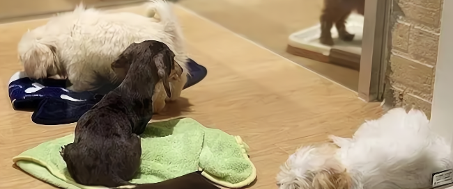 JDB电子·(中国区)试玩平台-JDB电子游戏官网