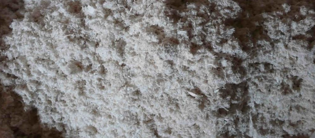 JDB电子·(中国区)试玩平台-JDB电子游戏官网