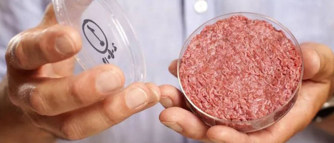 JDB电子·(中国区)试玩平台-JDB电子游戏官网