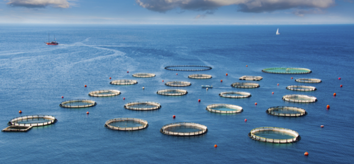 JDB电子·(中国区)试玩平台-JDB电子游戏官网