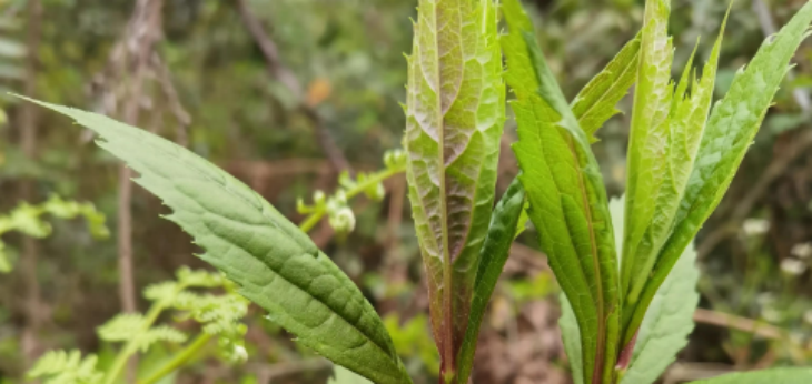 JDB电子·(中国区)试玩平台-JDB电子游戏官网