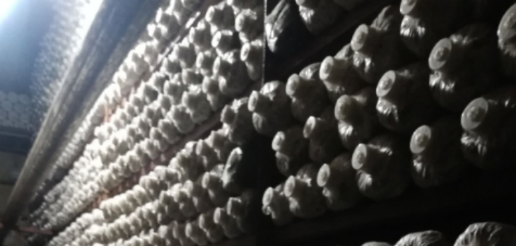 JDB电子·(中国区)试玩平台-JDB电子游戏官网