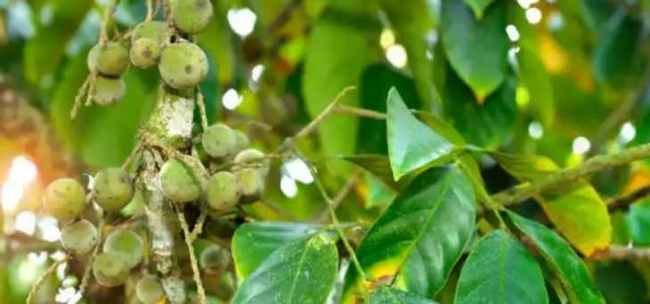 JDB电子·(中国区)试玩平台-JDB电子游戏官网