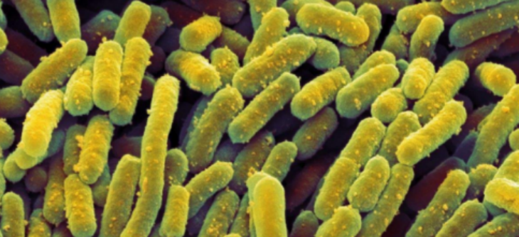 JDB电子·(中国区)试玩平台-JDB电子游戏官网