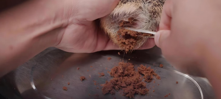 JDB电子·(中国区)试玩平台-JDB电子游戏官网