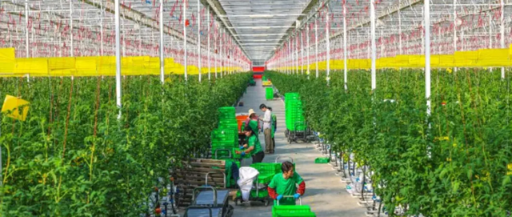 JDB电子·(中国区)试玩平台-JDB电子游戏官网