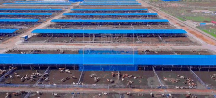 JDB电子·(中国区)试玩平台-JDB电子游戏官网