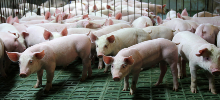 JDB电子·(中国区)试玩平台-JDB电子游戏官网