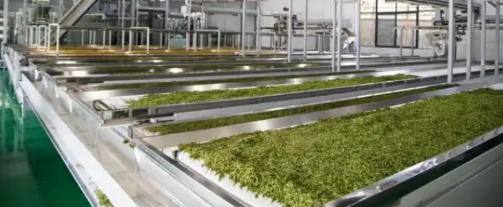 JDB电子·(中国区)试玩平台-JDB电子游戏官网