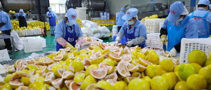 JDB电子·(中国区)试玩平台-JDB电子游戏官网