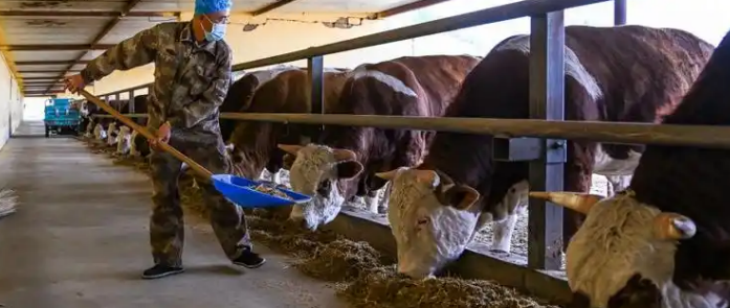 JDB电子·(中国区)试玩平台-JDB电子游戏官网