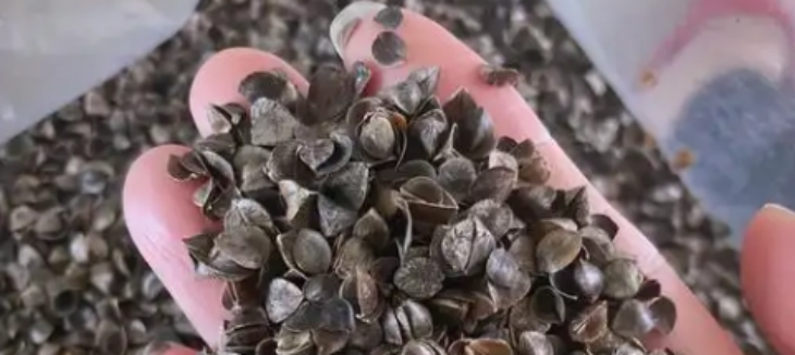 JDB电子·(中国区)试玩平台-JDB电子游戏官网