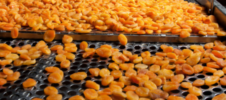 JDB电子·(中国区)试玩平台-JDB电子游戏官网