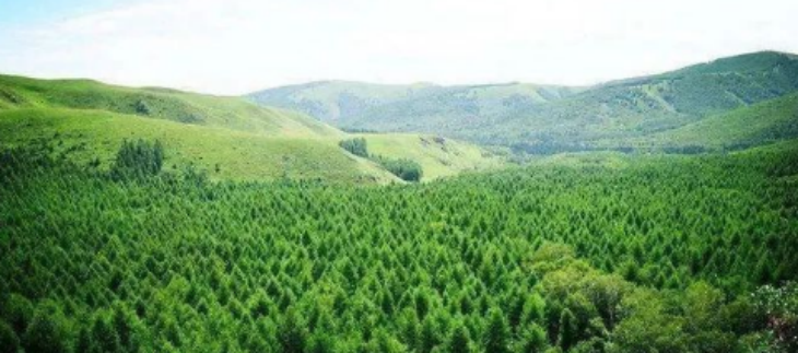 JDB电子·(中国区)试玩平台-JDB电子游戏官网