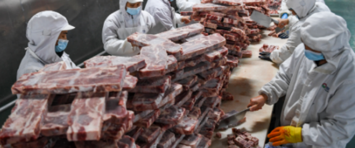 JDB电子·(中国区)试玩平台-JDB电子游戏官网