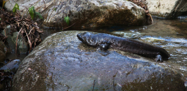 JDB电子·(中国区)试玩平台-JDB电子游戏官网