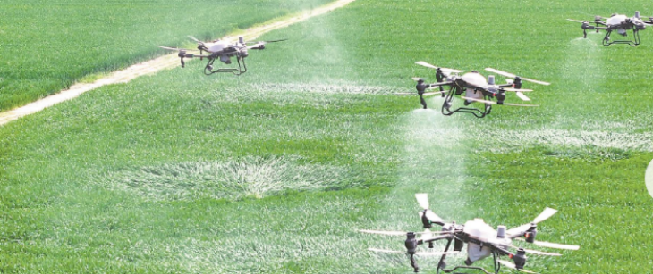 JDB电子·(中国区)试玩平台-JDB电子游戏官网